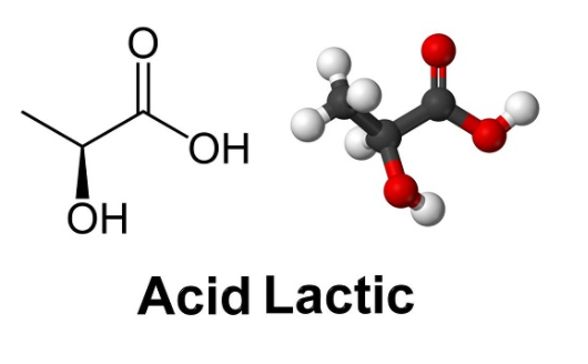 Hoạt chất Acid lactic trong mỹ phẩm