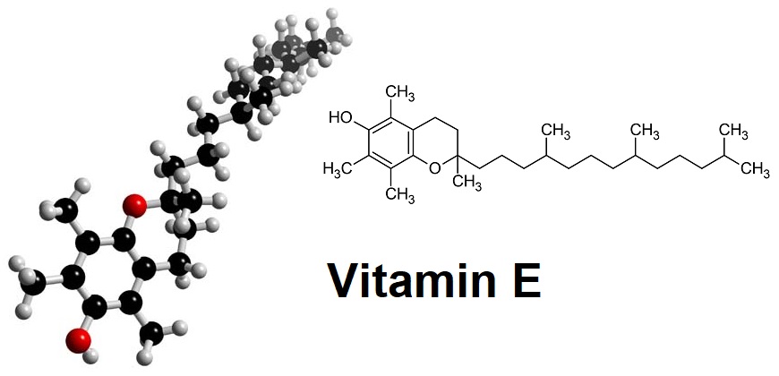 Vitamin E trong mỹ phẩm