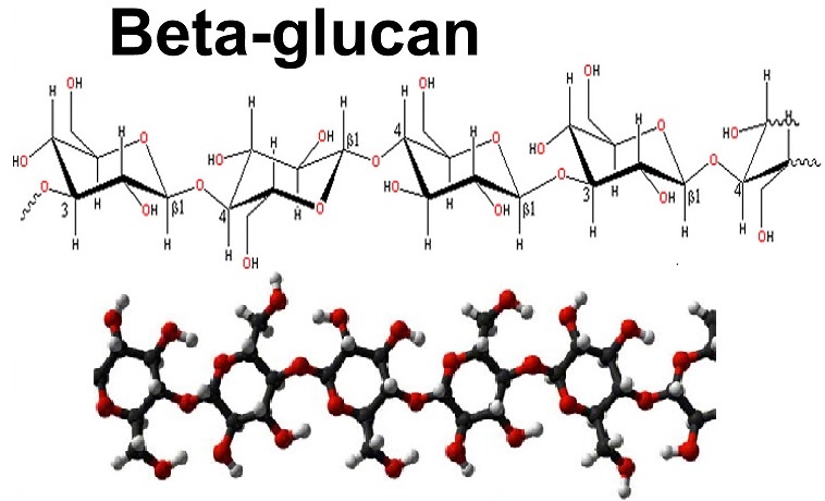 Hoạt chất Beta-glucan trong mỹ phẩm