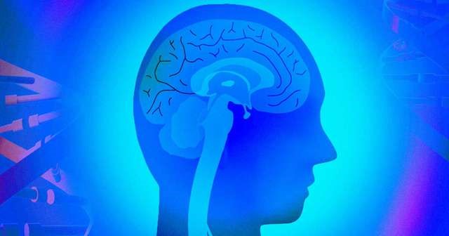 Enzyme P38gamma có tác dụng ngăn ngừa độc tính liên quan đến mất trí nhớ